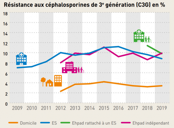 Figure - Résistance aux céphalosporines de 3e génération (C3G) en %