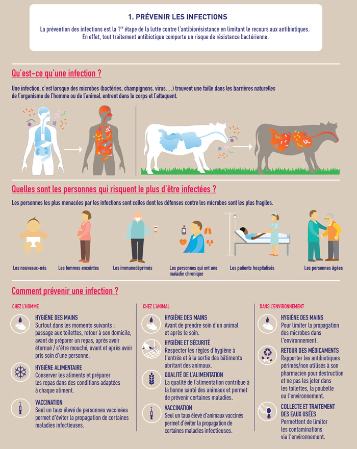 infographie prévention infections