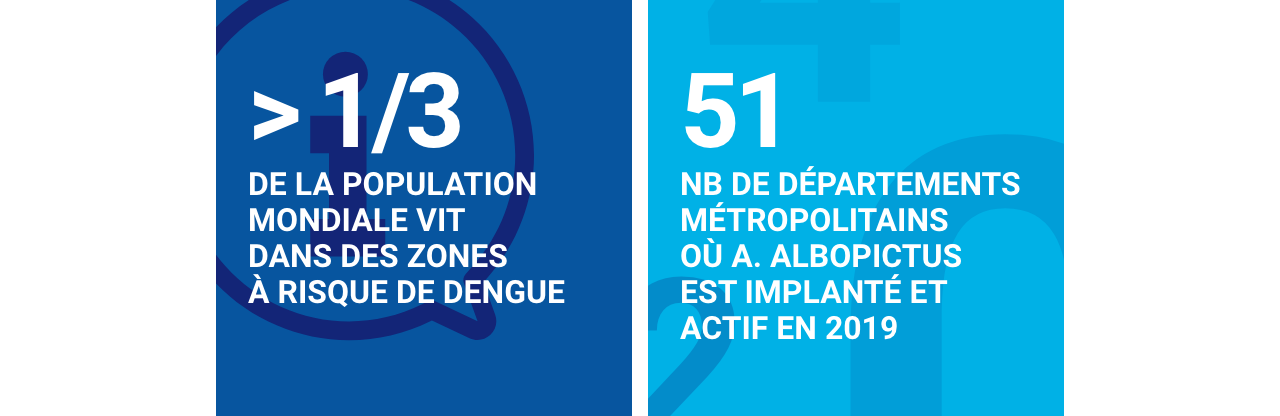 Infographie concernant la dengue