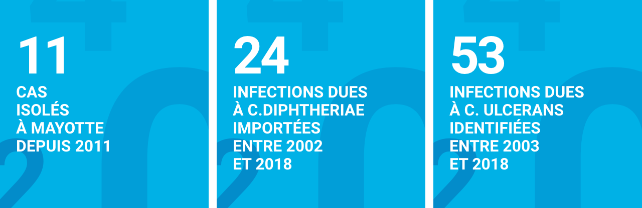 Infographie concernant la diphtérie